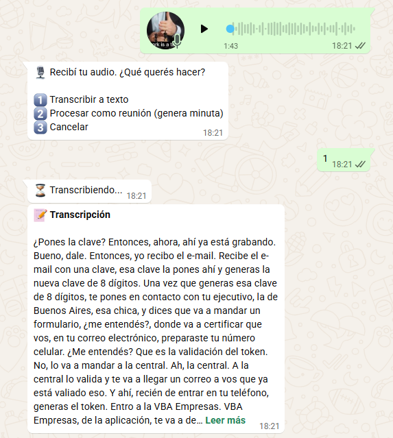 Ejemplo de transcripción